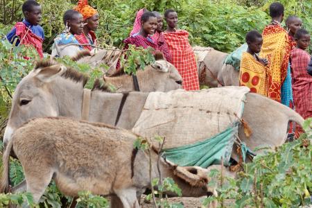 Photo by Paula Alderblad