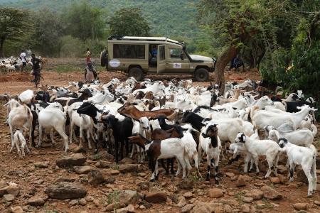 Photo by Hillim Gitonga